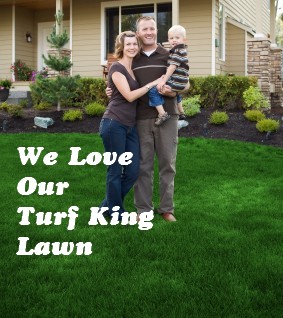 Great lawn care by Turf king